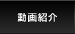 動画紹介