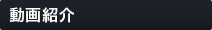動画紹介